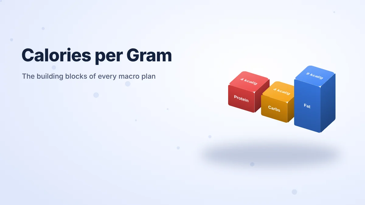 3D blocks showing protein and carbs at 4 calories per gram and fat at 9 calories per gram